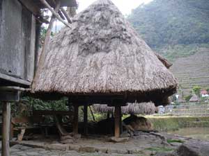 Native hut 2