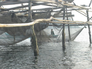 Fishermen's catch in Malampaya Sound