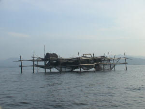 Fish traps in Malampaya Sound